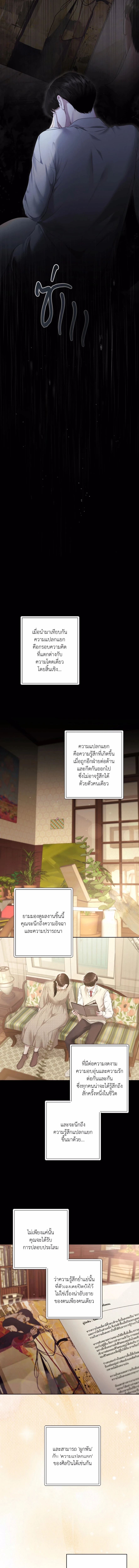 Diamond Dust ตอนที่ 11 - รูปที่ 2