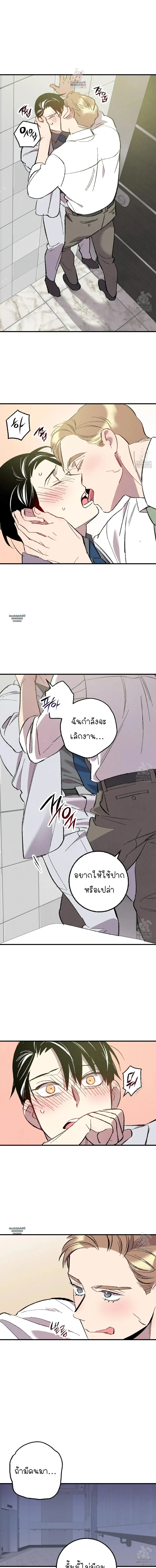 เพอร์เฟกต์บัดดี้ คู่หู อู้ว! แซ่บ | Perfect Buddy ตอนที่ 113 - รูปที่ 2