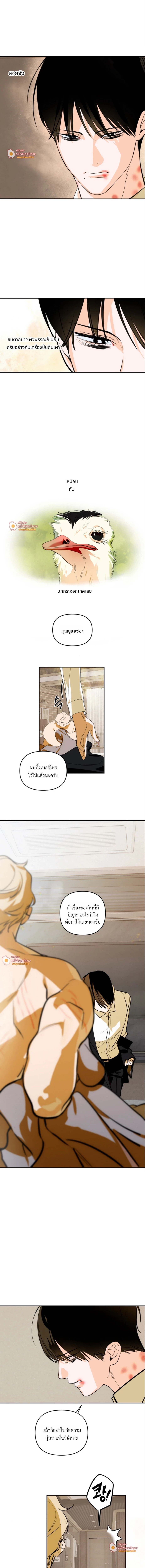 D-Day 8th นับถอยหลัง 8 วัน 디데이 8일 (D-8) ตอนที่ 2 - รูปที่ 2