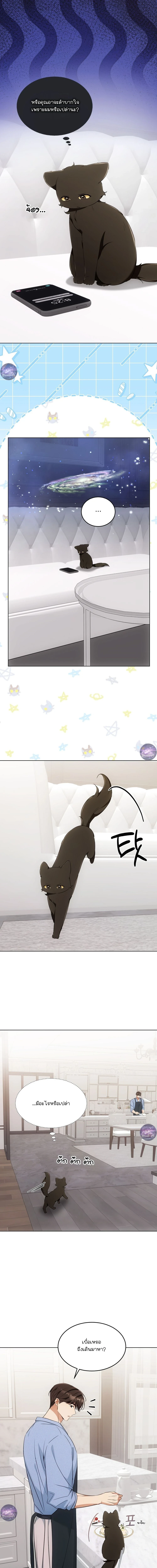 Cat Therapy | บำบัดแมวเหมียว ตอนที่ 19 - รูปที่ 2