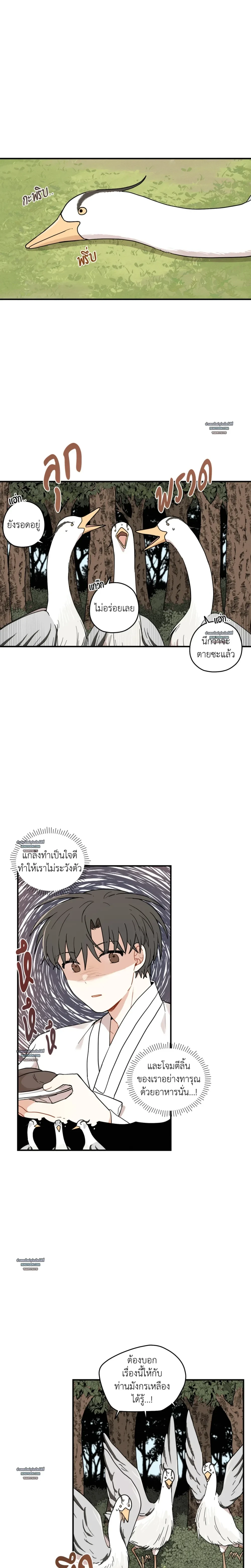 เส้นทางรักดอกแคนารี ตอนที่ 87 - รูปที่ 2