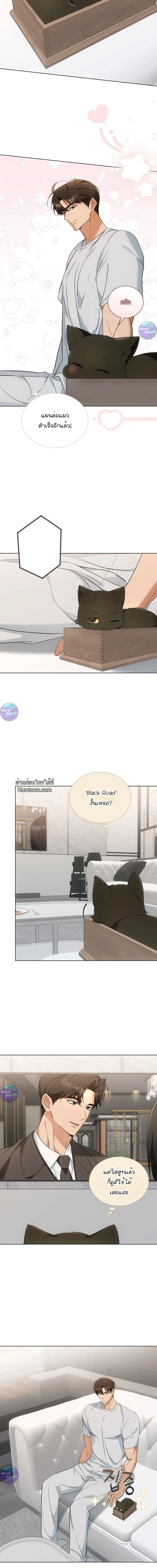 Cat Therapy | บำบัดแมวเหมียว ตอนที่ 11 - รูปที่ 2