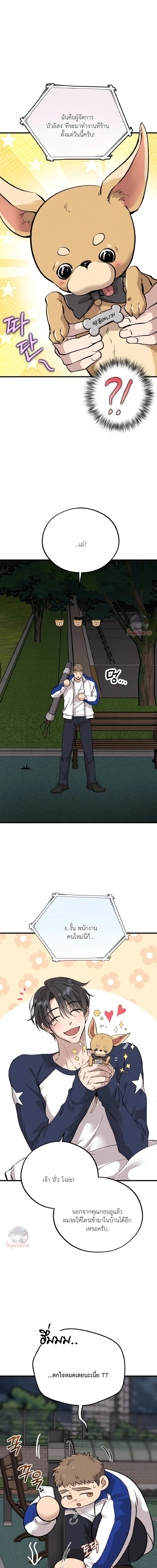 Honey Bear ฮันนี่แบร์ ตอนที่ 84 - รูปที่ 2