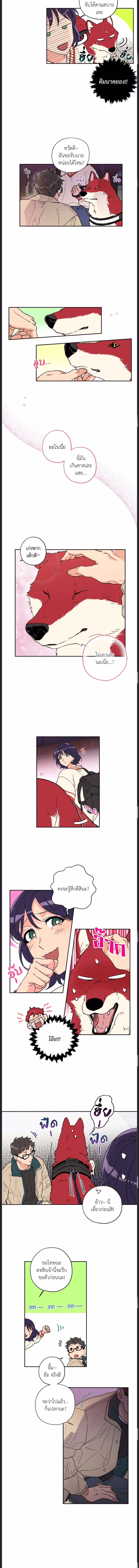 Woof Wolf ตอนที่ 2 - รูปที่ 2