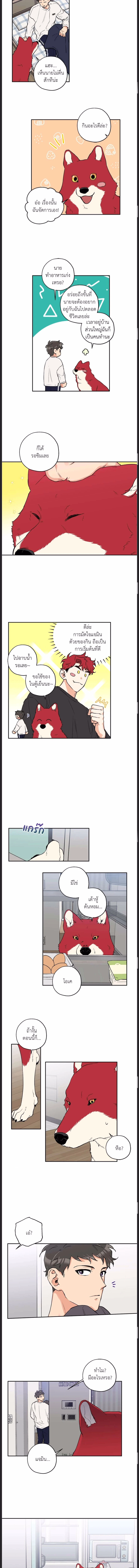 Woof Wolf ตอนที่ 20 - รูปที่ 2