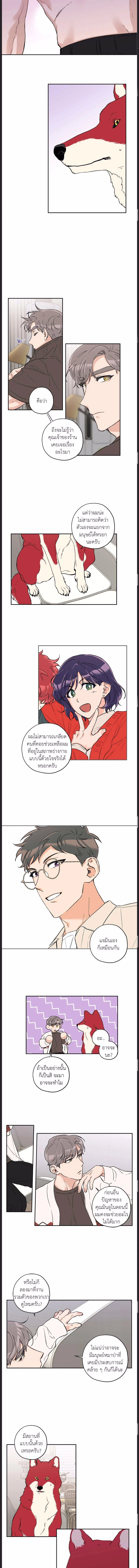 Woof Wolf ตอนที่ 21 - รูปที่ 2