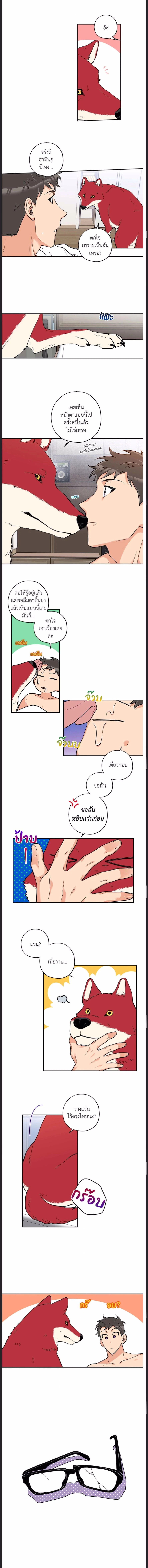 Woof Wolf ตอนที่ 12 - รูปที่ 2