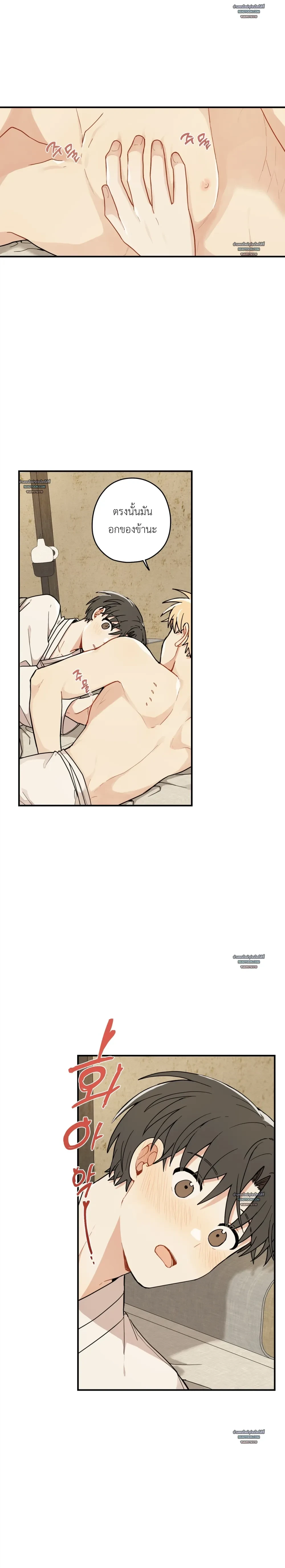 เส้นทางรักดอกแคนารี ตอนที่ 81 - รูปที่ 2