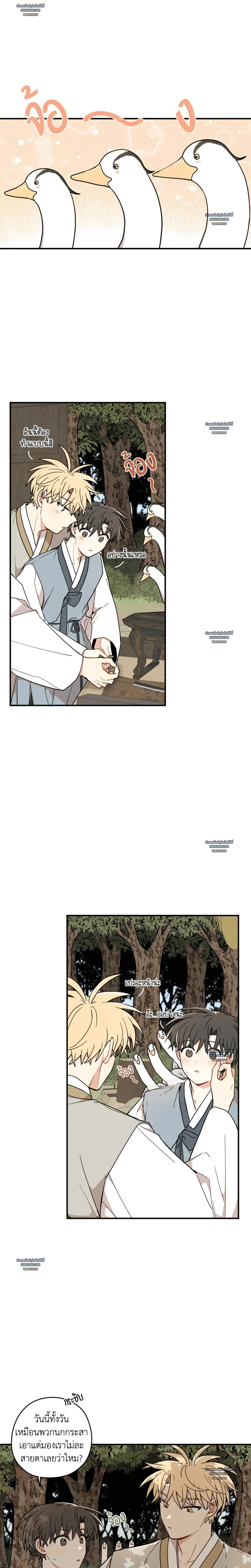 เส้นทางรักดอกแคนารี ตอนที่ 88 - รูปที่ 2