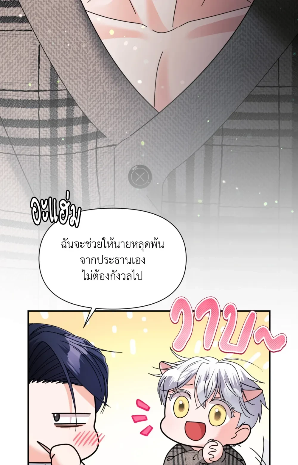 หน้า 43