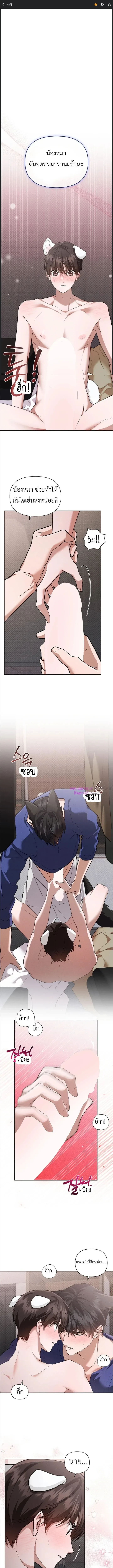 ลูกหมาของฉัน ใครก็ห้ามแตะ! | Don't Mess with the Puppy! ตอนที่ 48 - รูปที่ 2