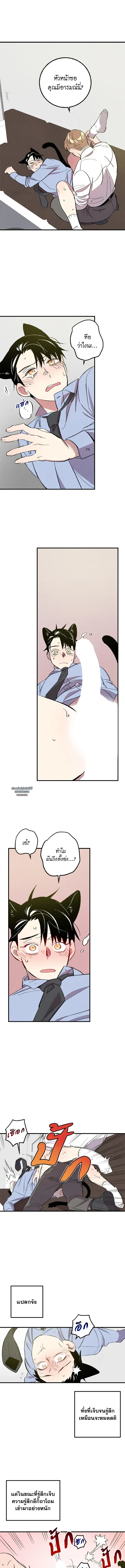 เพอร์เฟกต์บัดดี้ คู่หู อู้ว! แซ่บ | Perfect Buddy ตอนที่ 106 - รูปที่ 2