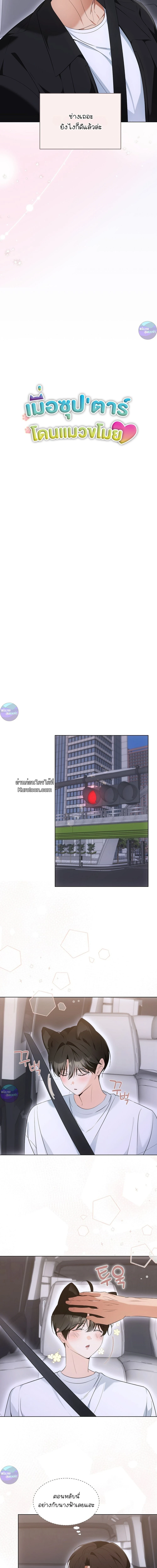 Cat Therapy | บำบัดแมวเหมียว ตอนที่ 13 - รูปที่ 2