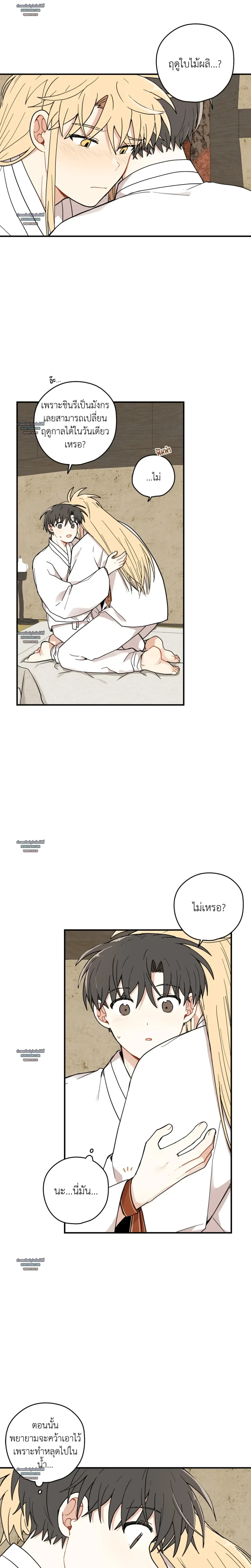 เส้นทางรักดอกแคนารี ตอนที่ 97 - รูปที่ 2