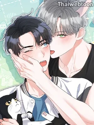 น้องเหมียวที่รัก | Not That Cat, This Cat