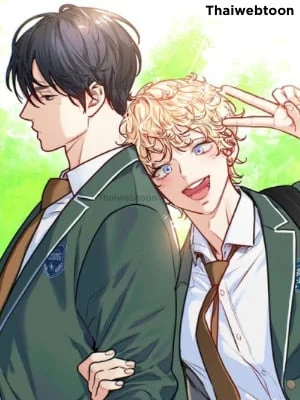 Love is an Illusion! - Superstar